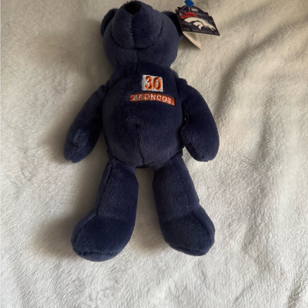 Blue Plush Bear